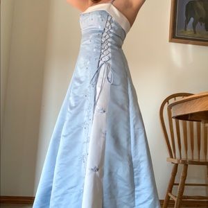 Cinderella Dress